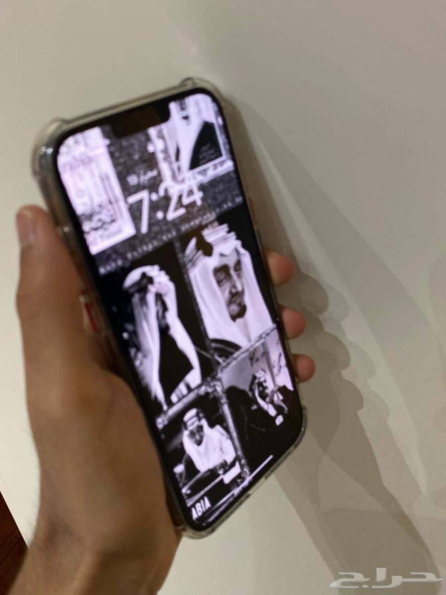 iPhone 13 Pro Max.64492339159171110