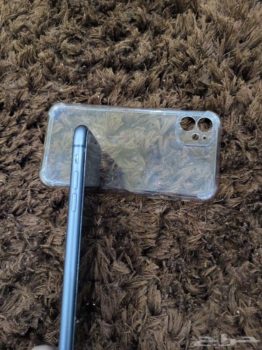 iPhone 11 Regular64490385817217113