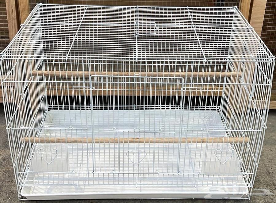 شبك 601 و بياضه64498145446530110