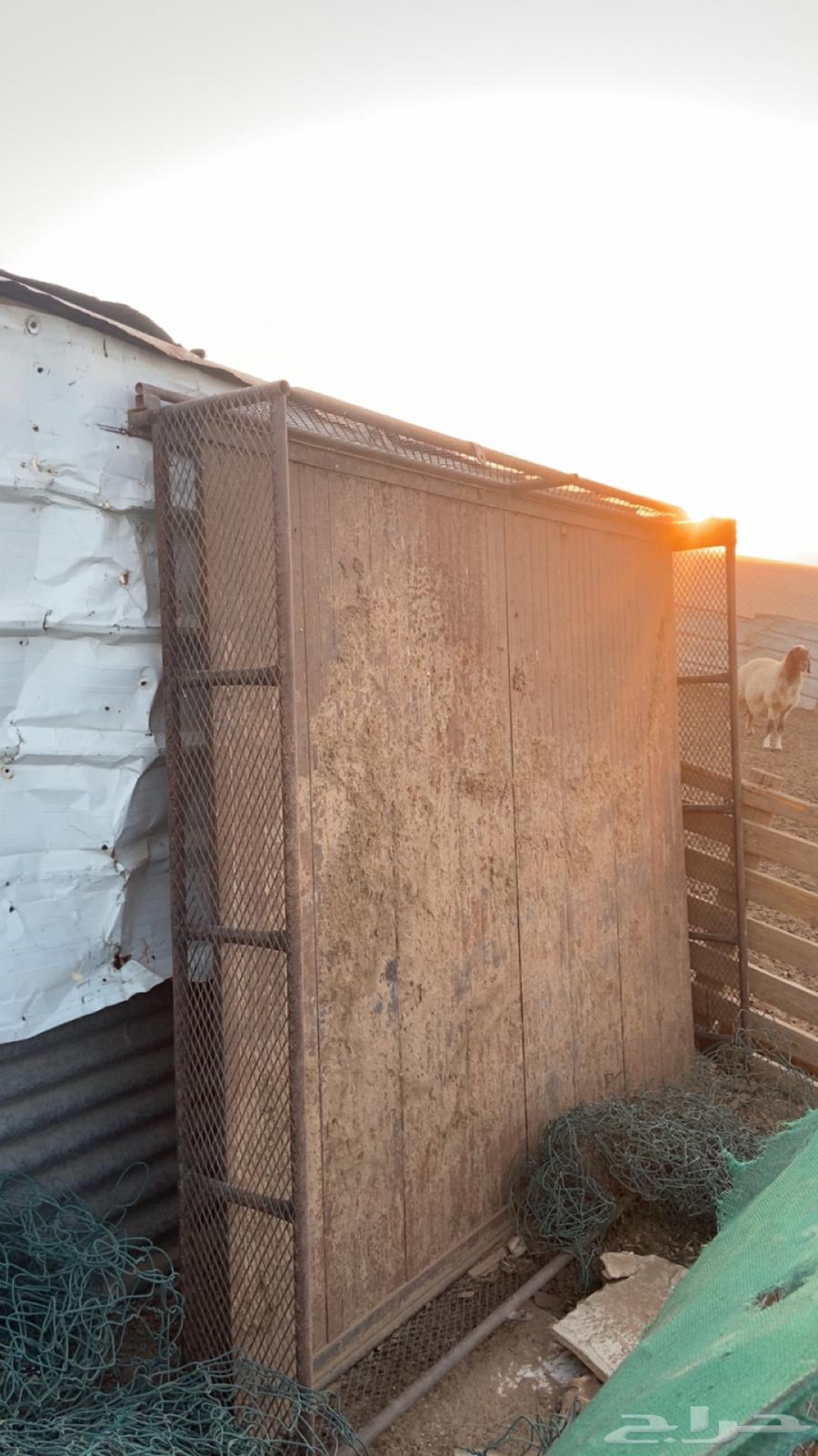 شد جمس سيرا مع طبقته حديد ثقل ممتاز64676706748417113