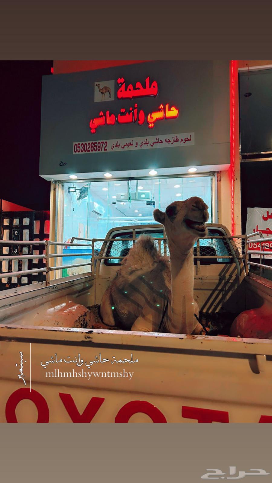 A good conversation at the meat shop right now64497013670402111