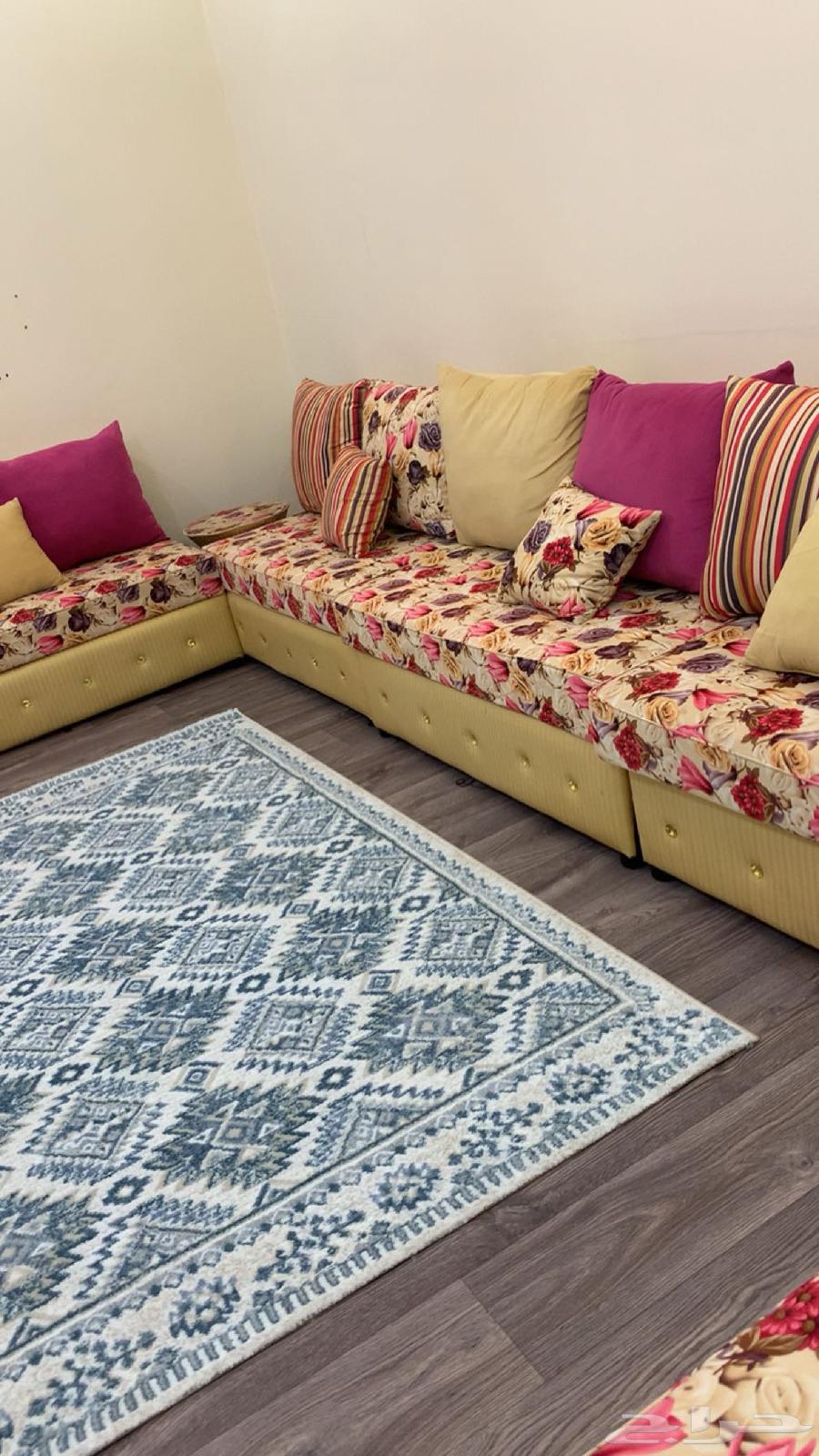 My brother's new sofa64496447535746110