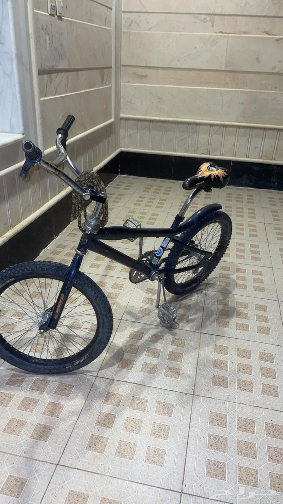 سيكل كوبرا للبيع64502707381378110