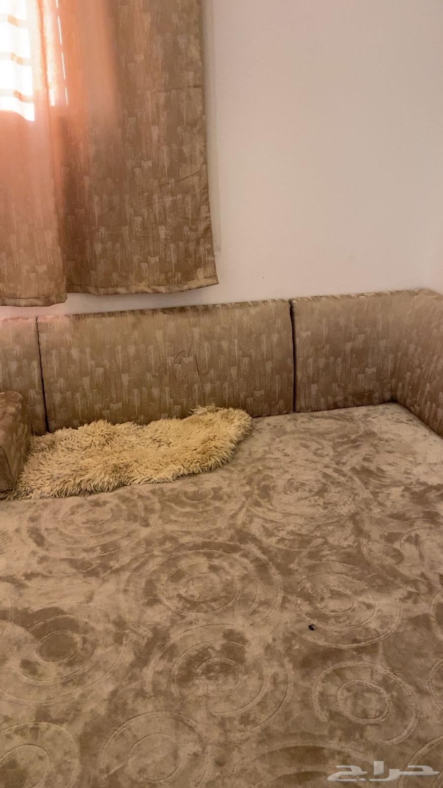 مخاد مستخدمه استخدام نضيف64496309922946112