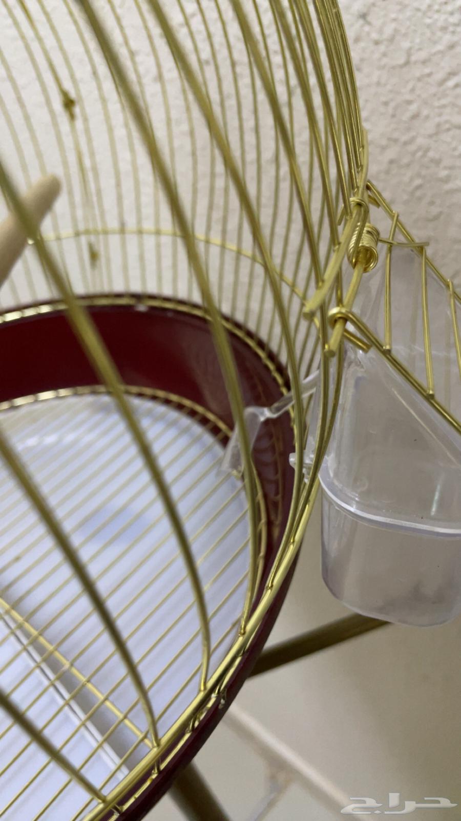 قفص طيور   ستاند ذهبي64501830085891113