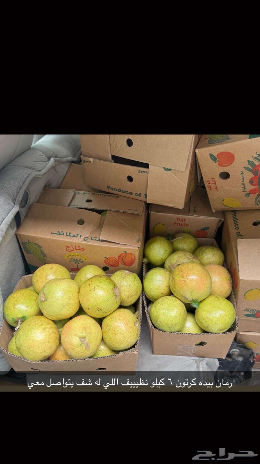 رمان بيده64496876064003111