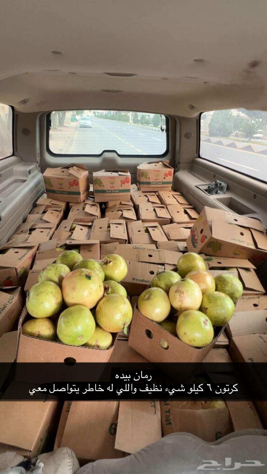 رمان بيده64496876064003110