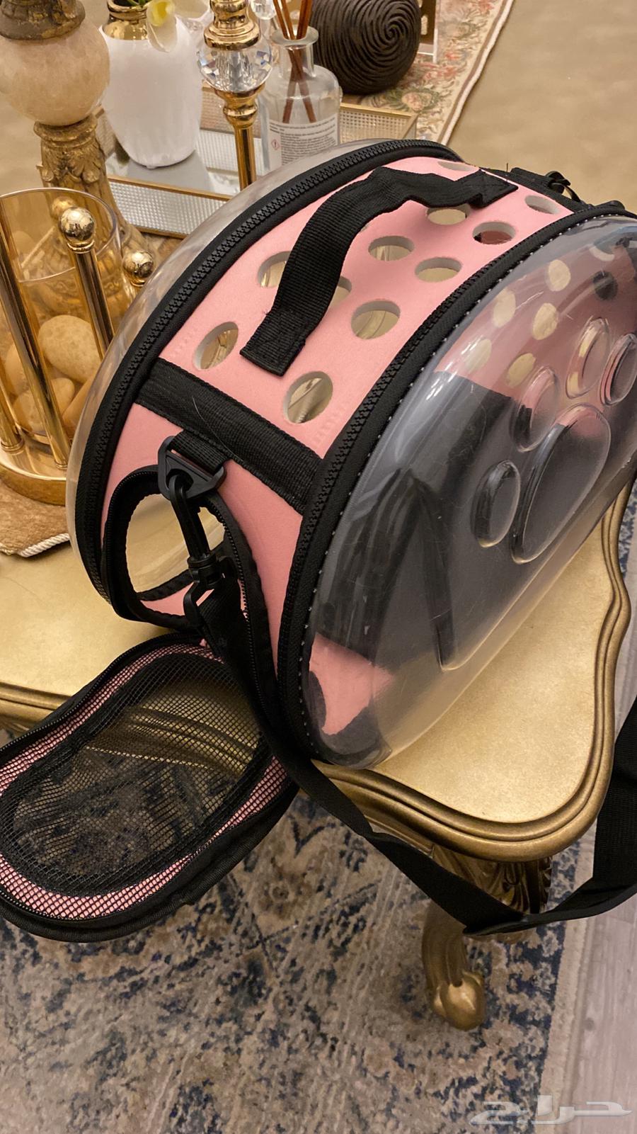 Cat Carrier Box for Small Cats64498673896194110