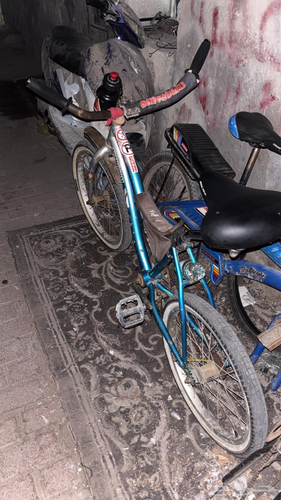 Butterfly cycle center64502707280386110