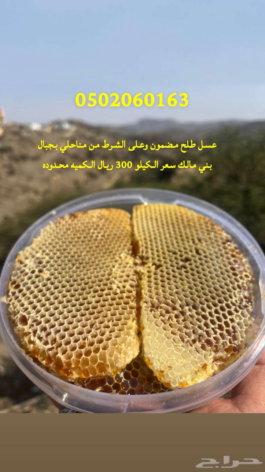 عسل سدر مشروط بالذمه والامانه وطلح وسمره من مناحلي64501132432770110