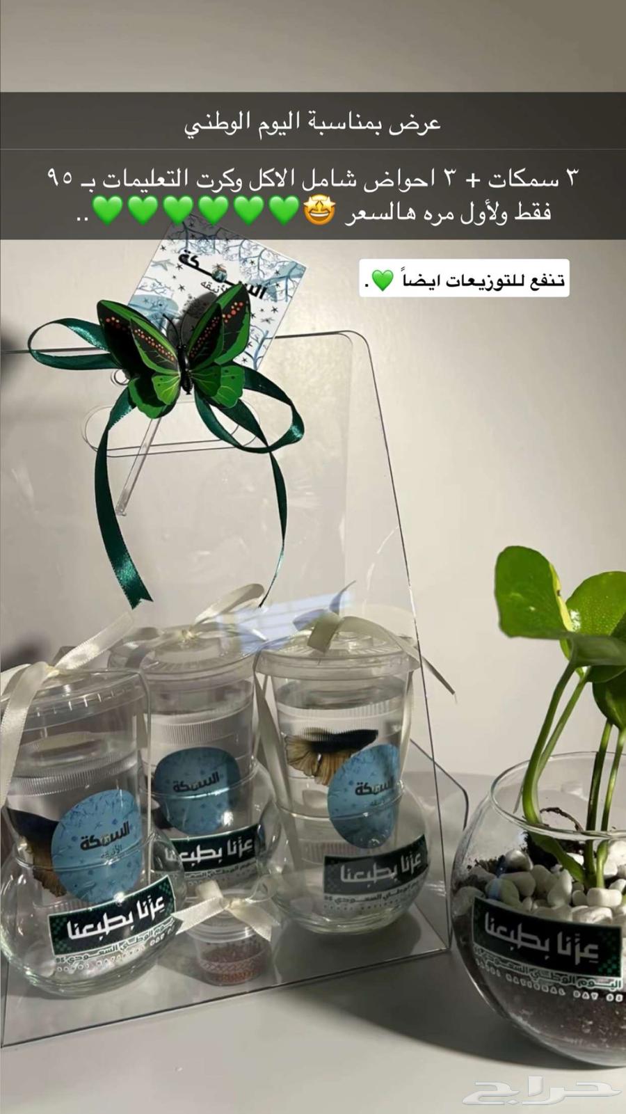 سمك فايتر ب95 ريال عرض64498284846595111