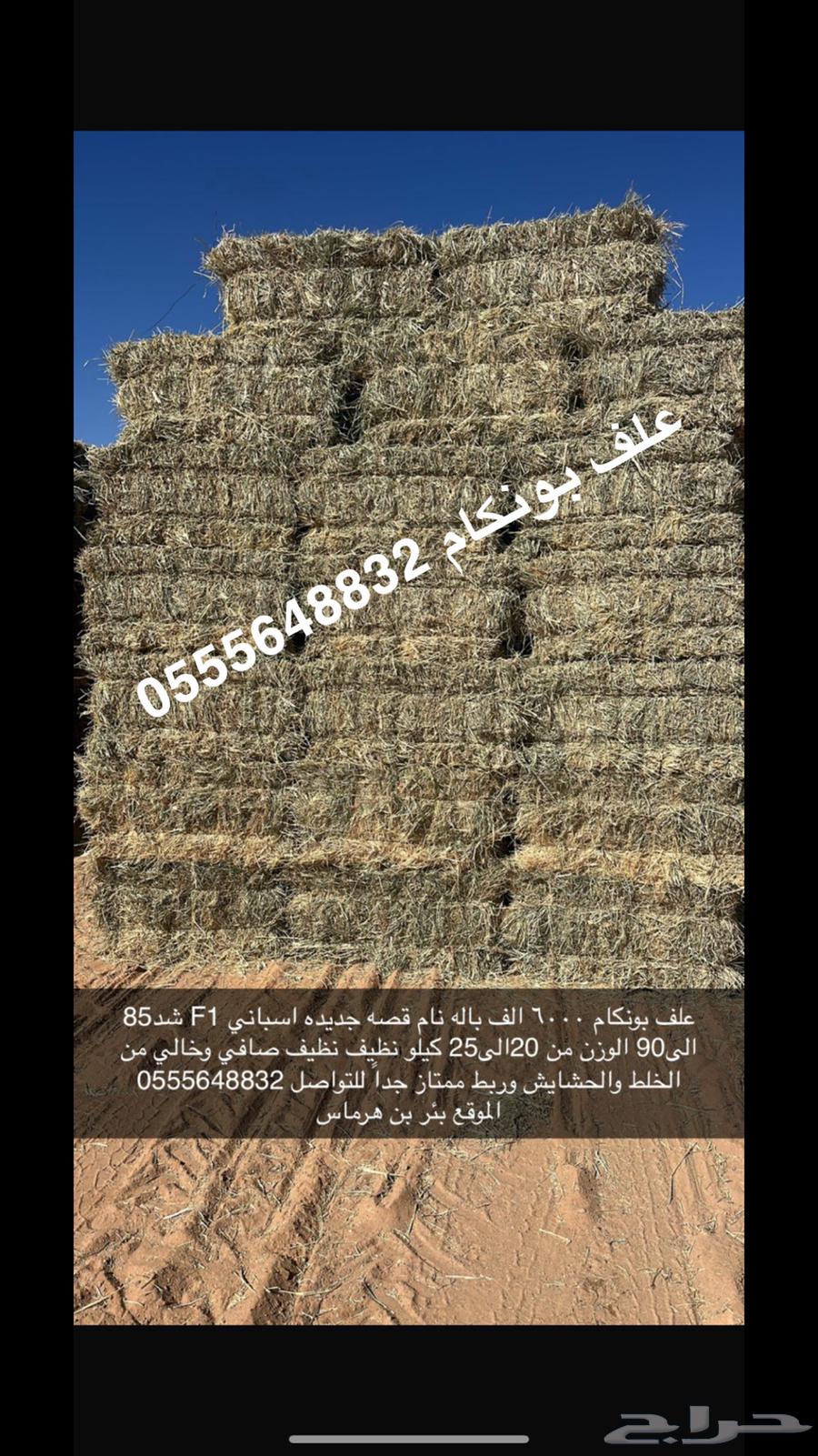 Excellent very soft Bunkam grass, tied and bundled, minimum selling quantity is one trailer64503363579651110
