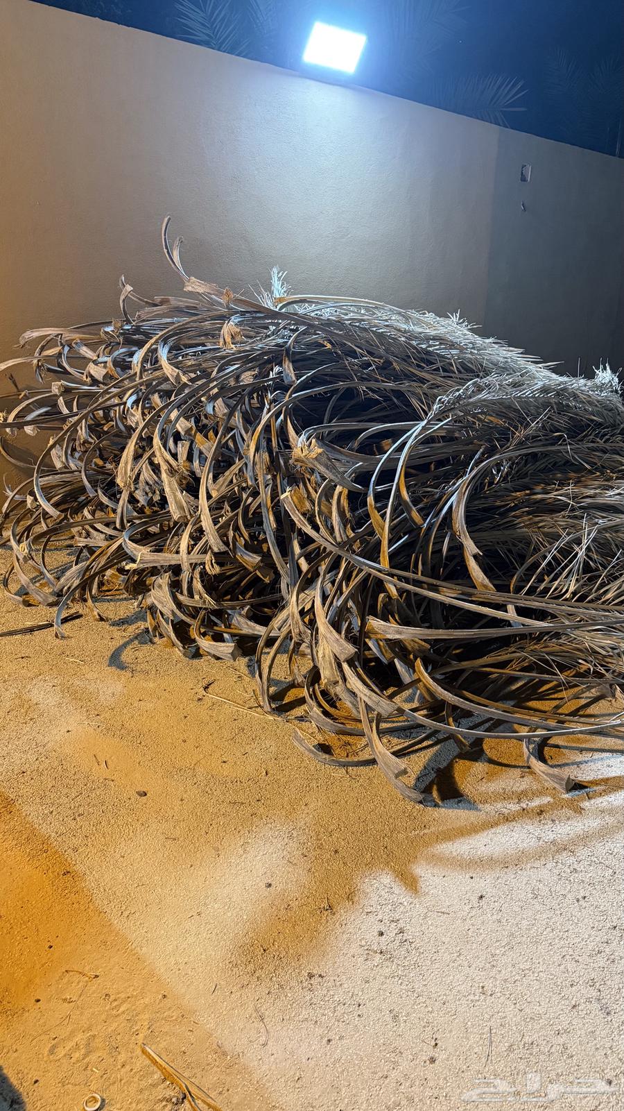 جريد -عسيب للبيع بعيون الجواء64502418819970112