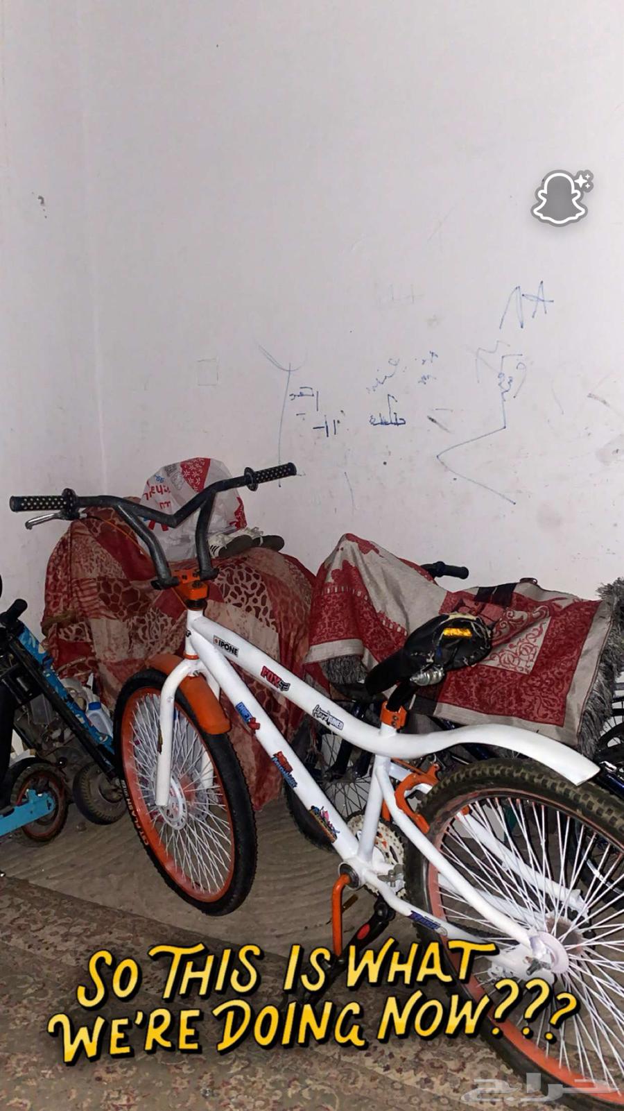 Cobra Bicycle64495816963330110