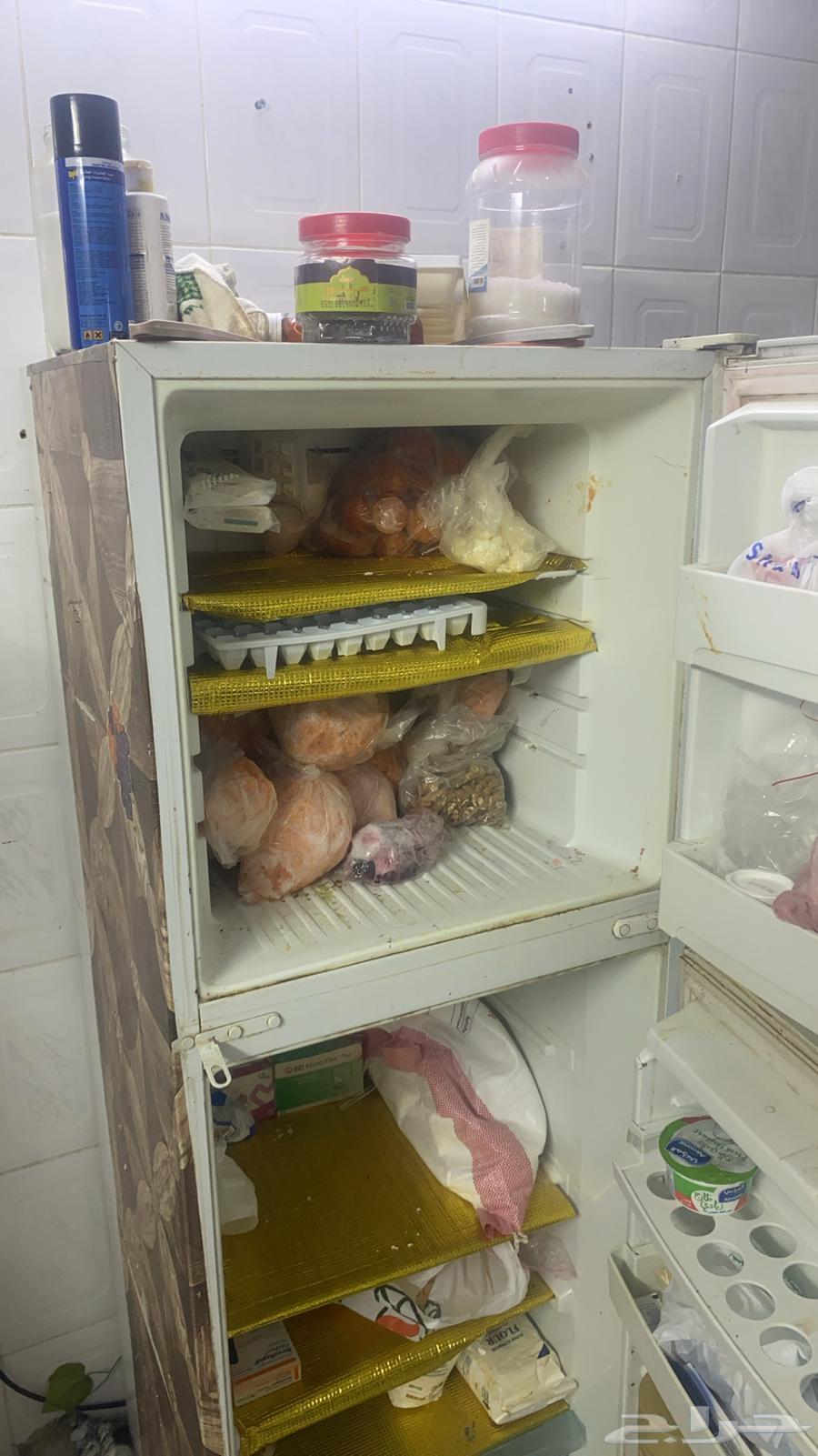 ثلاجه للبيع64501539611778112