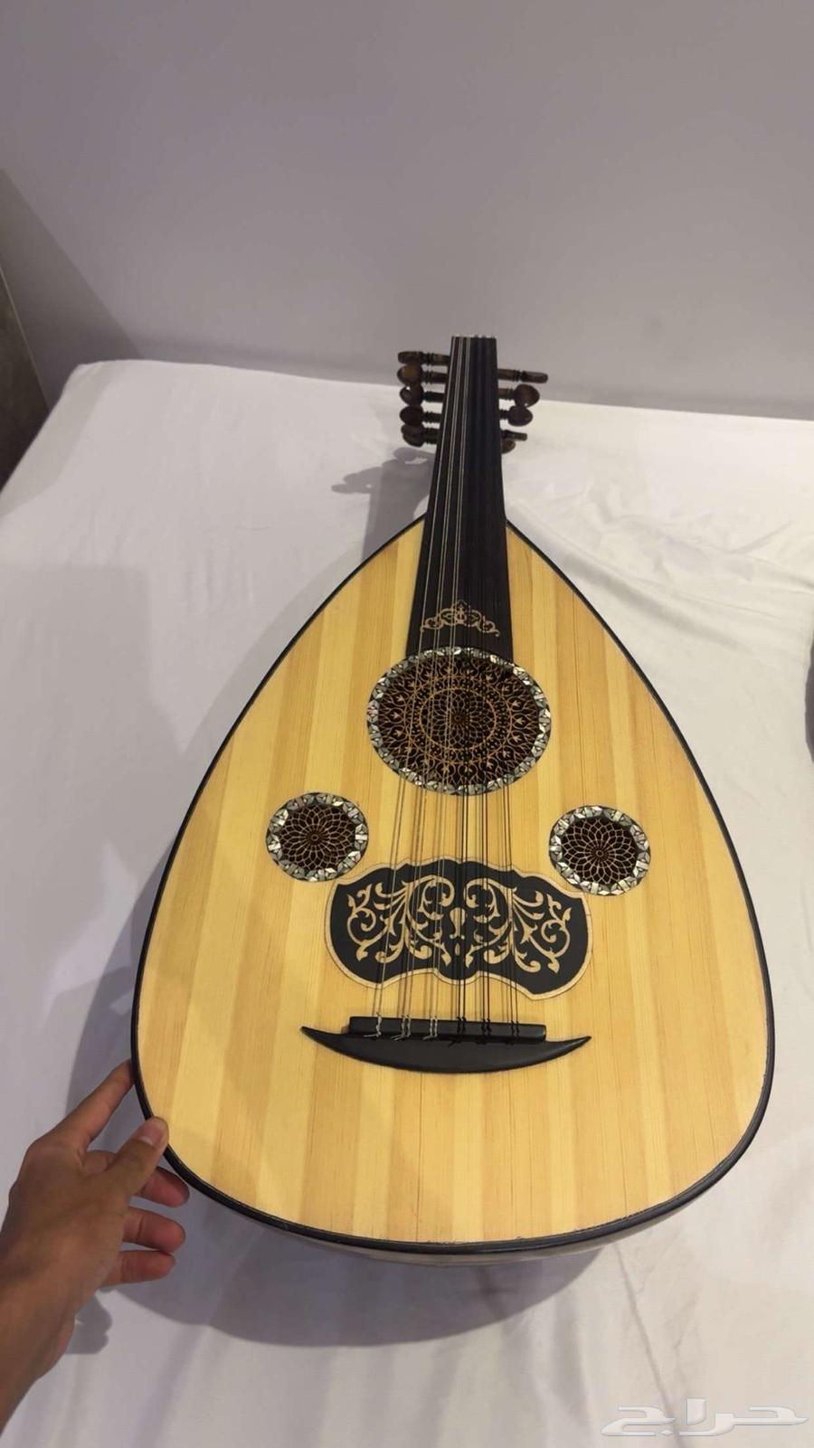 عود مصري للبيع64498868000001110