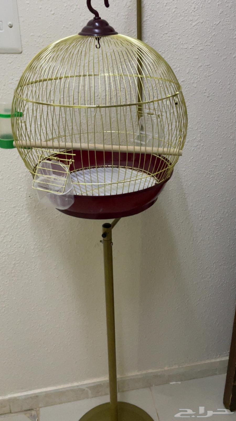قفص طيور   ستاند ذهبي64501830085891110