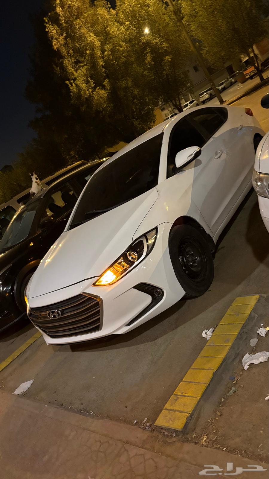 Elantra 201764679660957058110