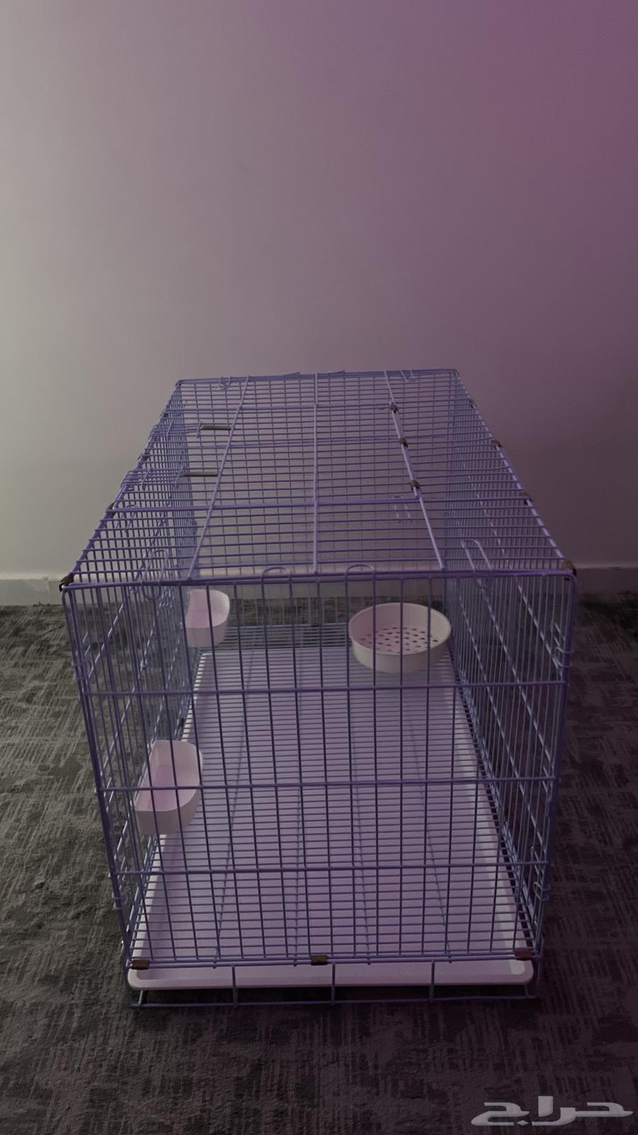 قفص ماعز او قطوه كبير جدن  يكفي حق قطوتين او ماعز واحد64496009793283112