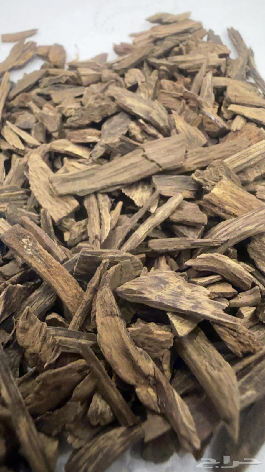 Unique and Diverse Old Oud64499759003521110