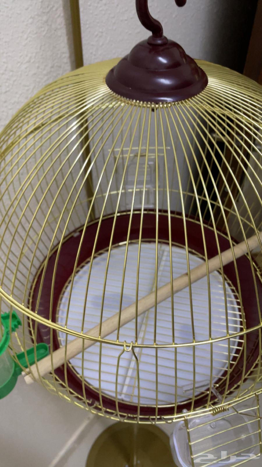 قفص طيور   ستاند ذهبي64501830085891111