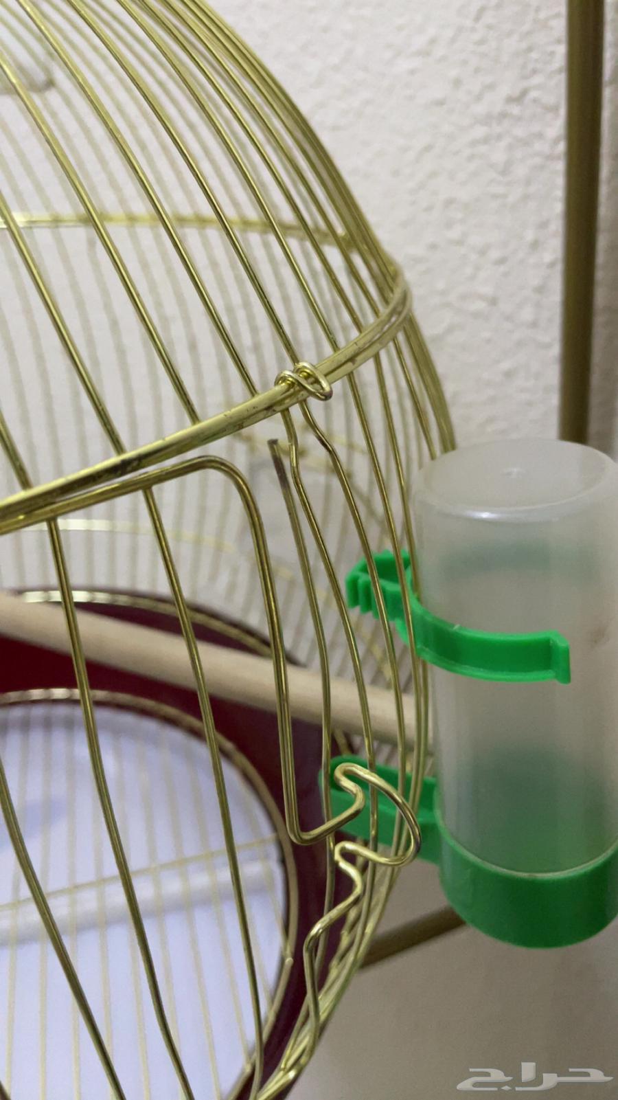 قفص طيور   ستاند ذهبي64501830085891112