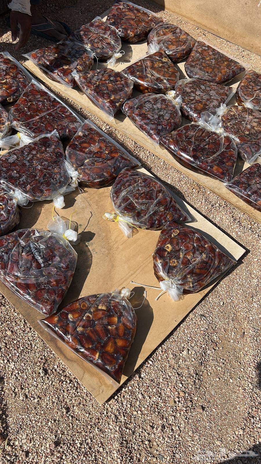 Tamr Fanakha from Salma64477825211137112