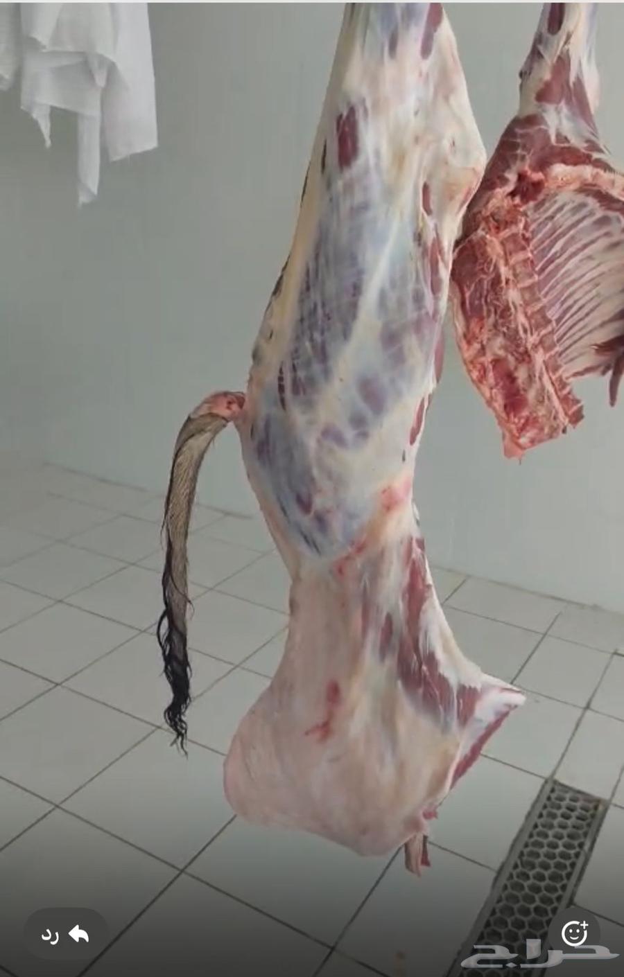 A good conversation at the meat shop right now64497013670402113