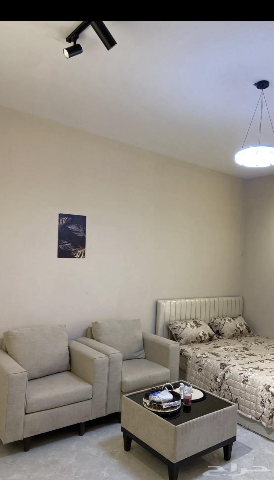 Single sofa, two pieces. 99 SAR64502152379905112