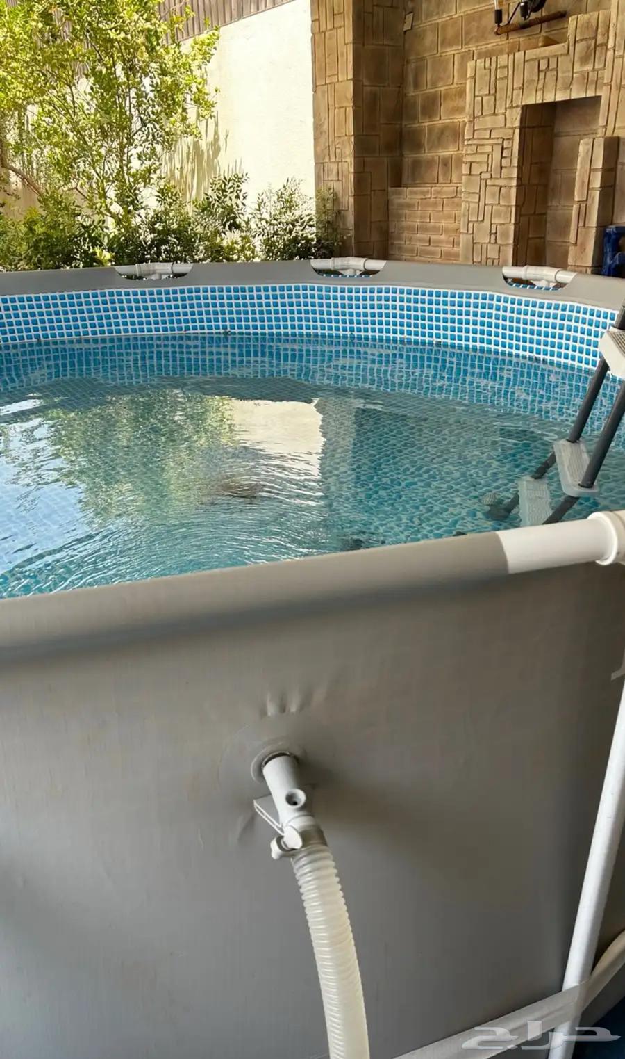 Portable Swimming Pool64501620155907113