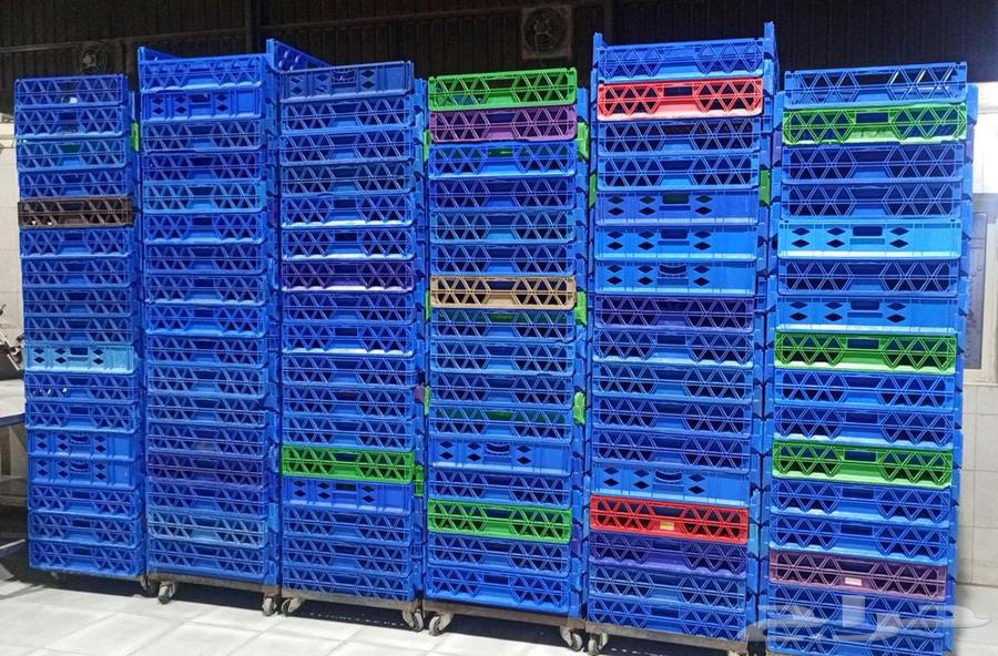 سلال خبز ومعجنات64501243384705111