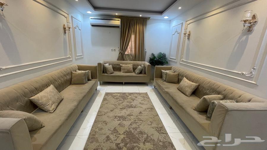 كراسي صاله للبيع64498340550657113