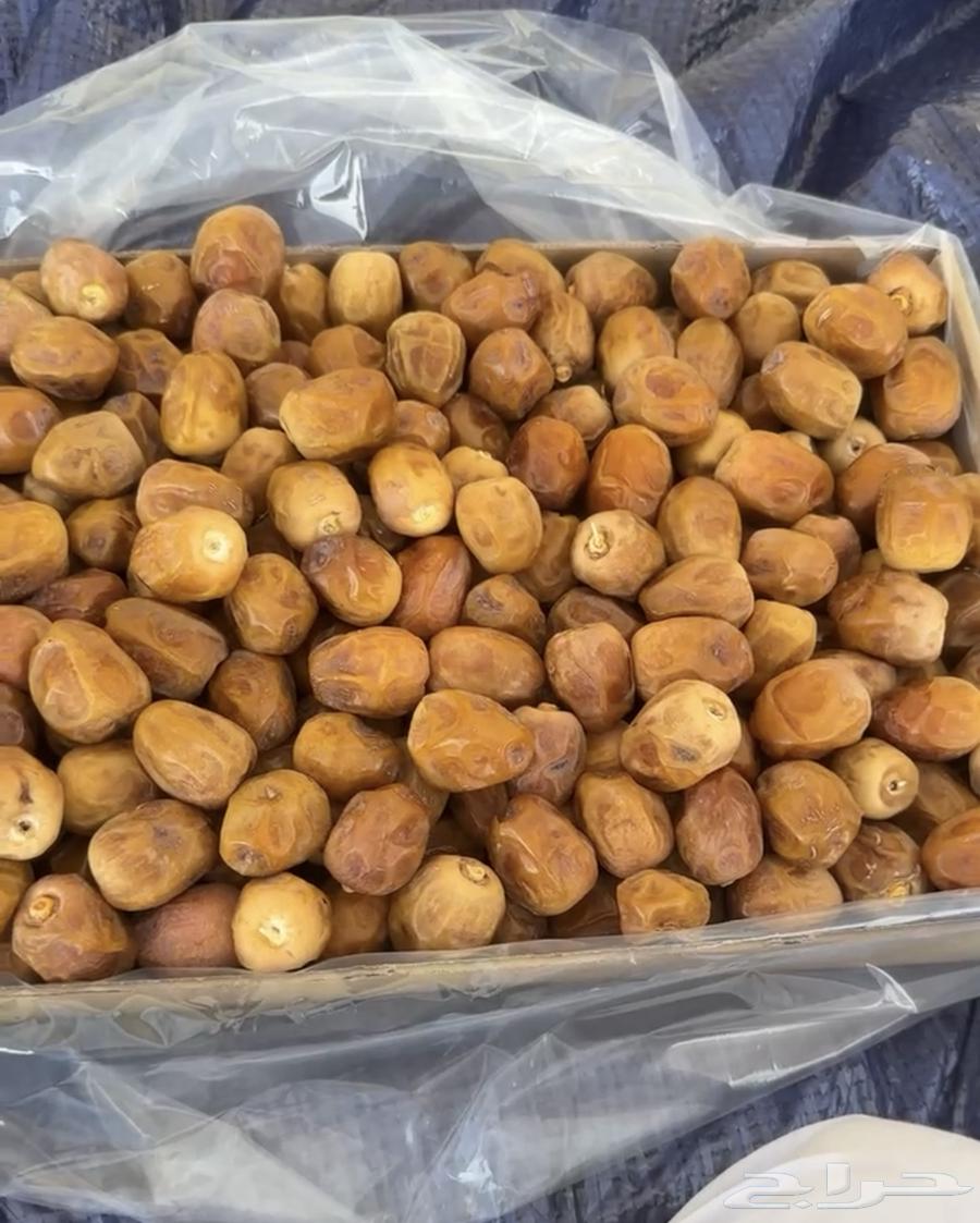 Premium Ruthana Dates with Free Delivery in Riyadh64500937302657110