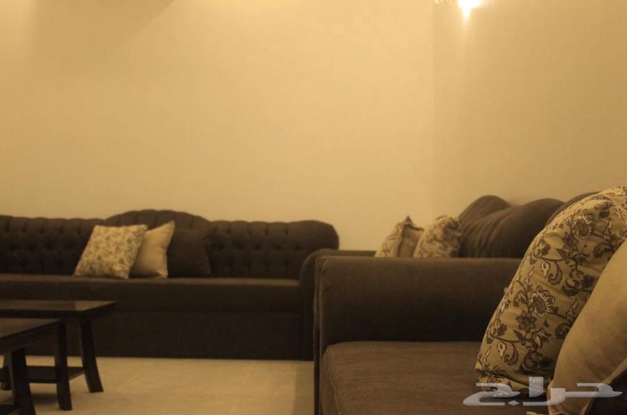 Couch Majlis64500533170818112