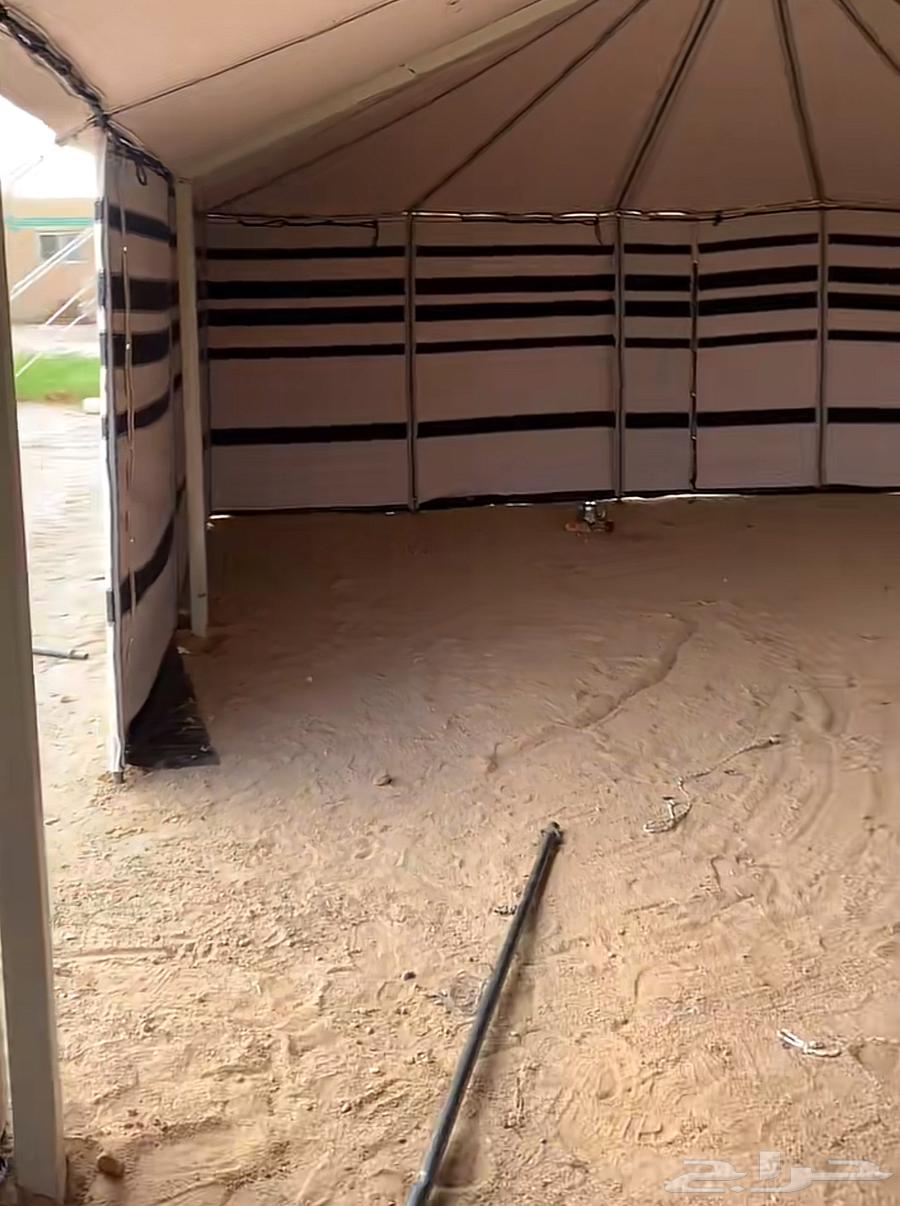 بيت قطن ابيض 11 ب 664496778390530110