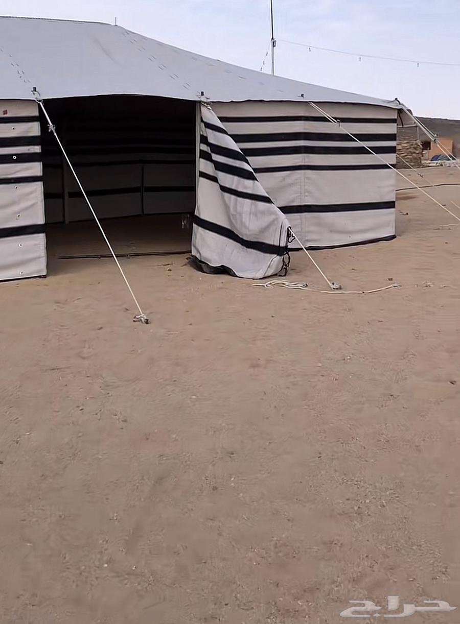 بيت قطن ابيض 11 ب 664496778390530113