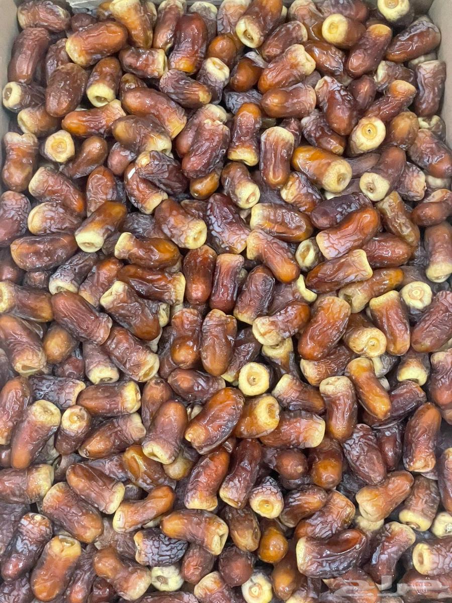 تمر برني للبيع64502214150914110