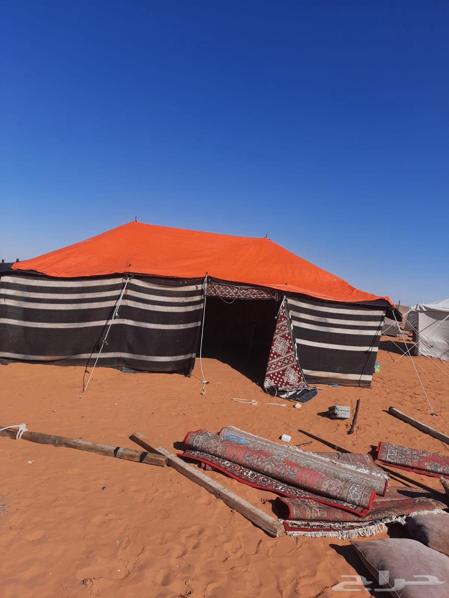 Need camping tents, boxes, beds, hair tents, used and new, all coastal areas64502680056577110