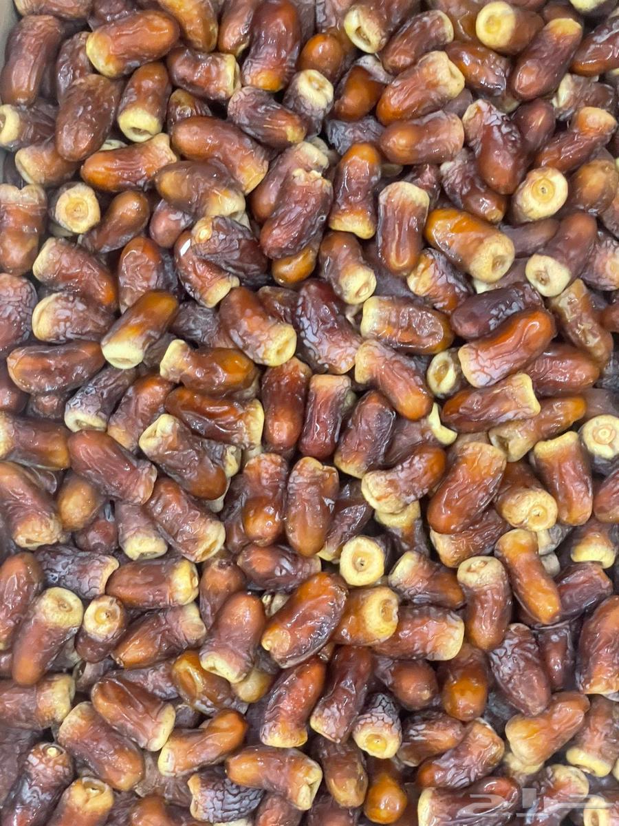 تمر برني للبيع64502214150914111