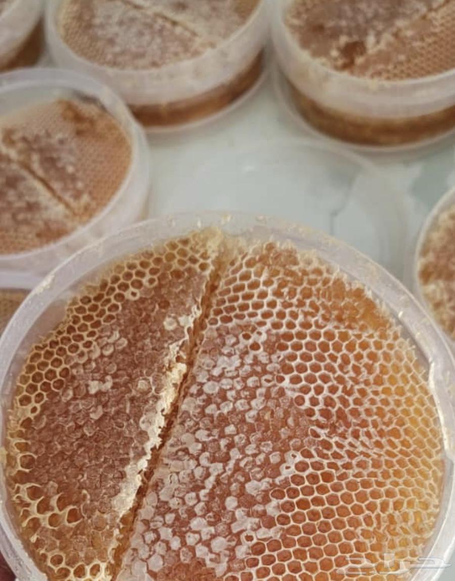 عسل سدره وسمره وطلحه وغذاء المكات وغيرها اصلي ومضمون64496917625601113