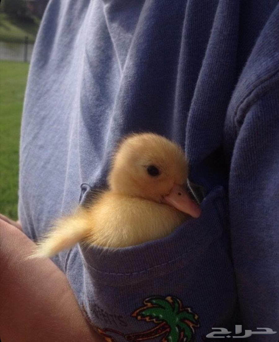 Complete package with accessories64500895575937110