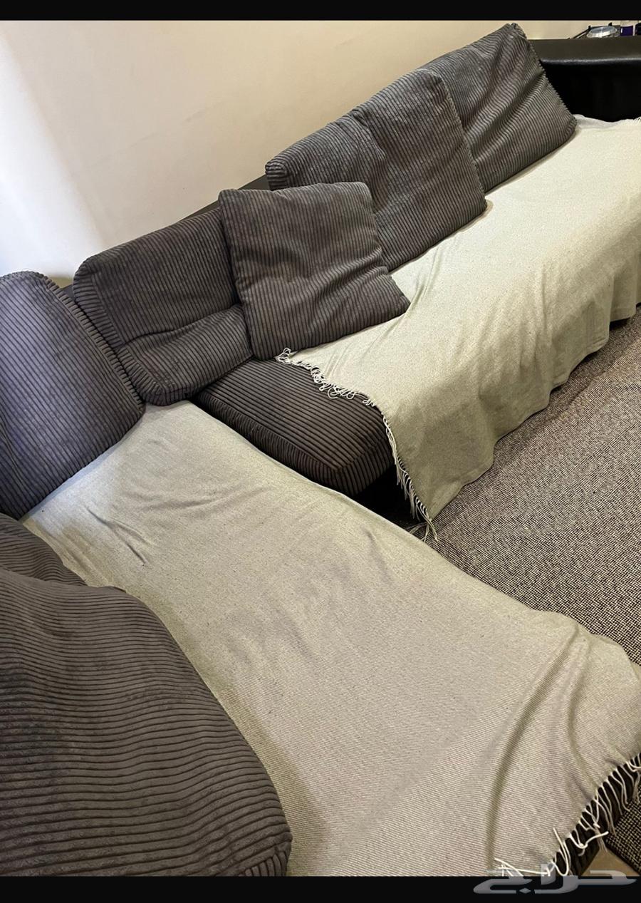 كنب حرف L64500284641026111