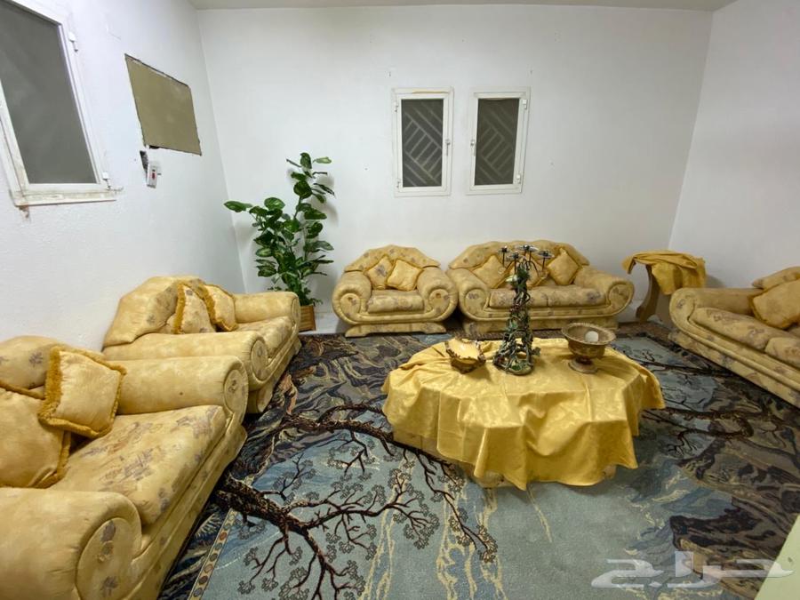 Sofa64497993351681110