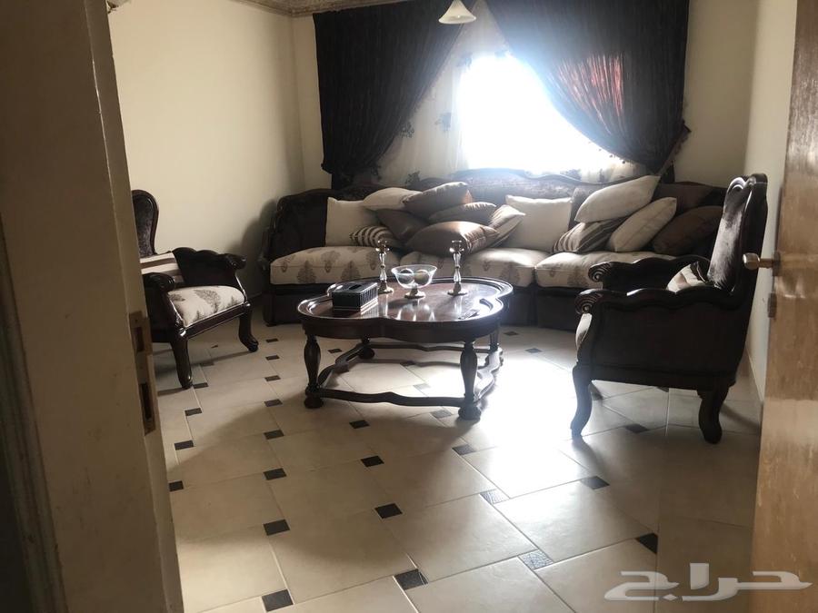 مجاس فاخر للبيع64500965412739113