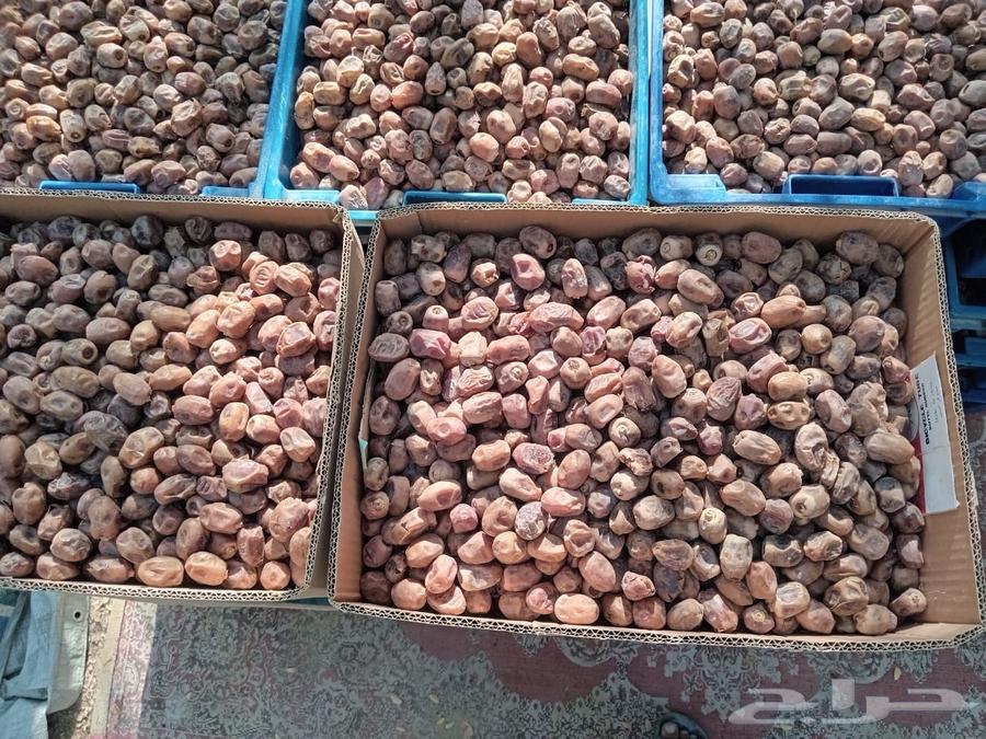 Chichi dates64496173219075110