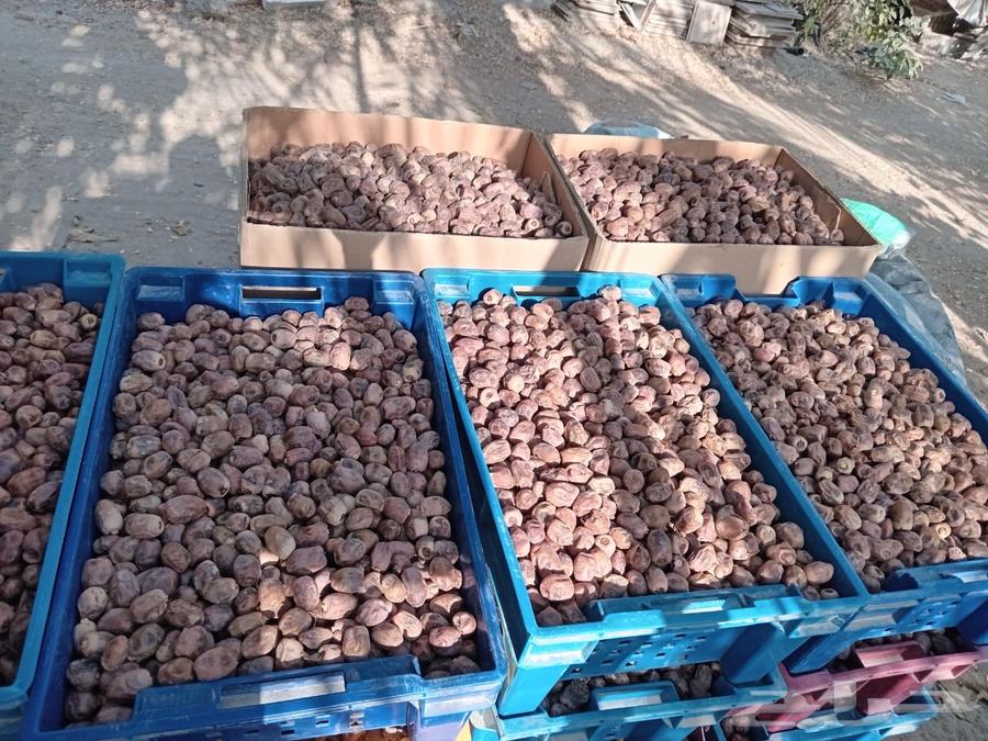 Chichi dates64496173219075111