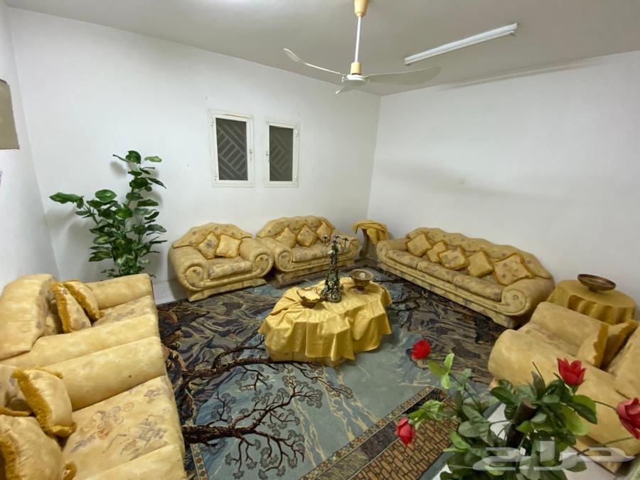 Sofa64497993351681111