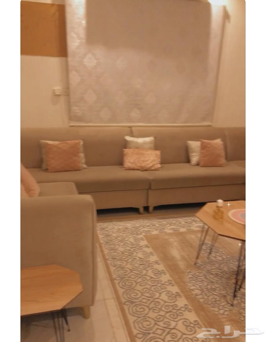 كنب من هوم بوكس للبيع64499507573763112