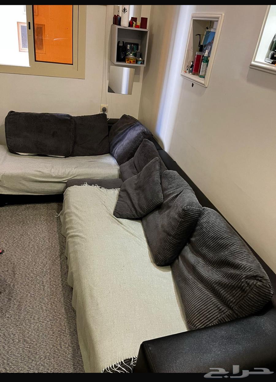 كنب حرف L64500284641026110