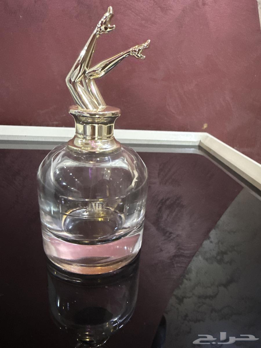 A coin for original perfume. Iskandar and perfume shop64502323111555111